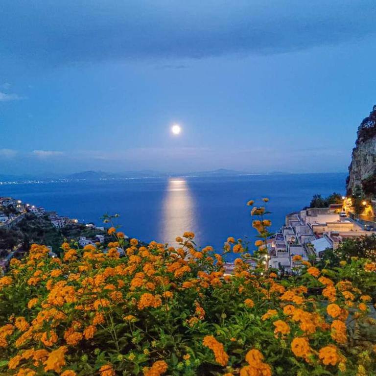 CASA ENZO con vista mare - Appartamento con 1 Camera da Letto - 62