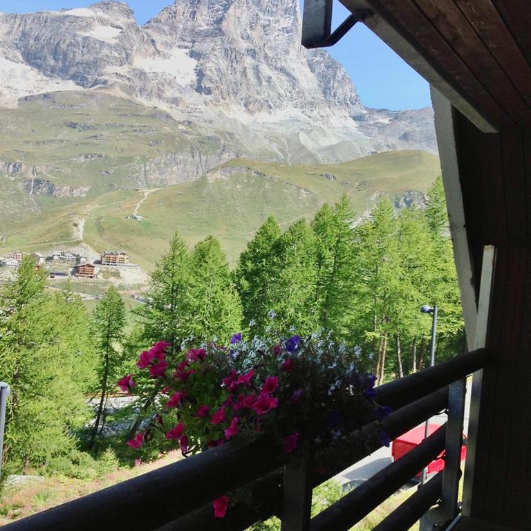 Appartamenti Coin Au Paradis - Appartamento con Vista Montagna - 1