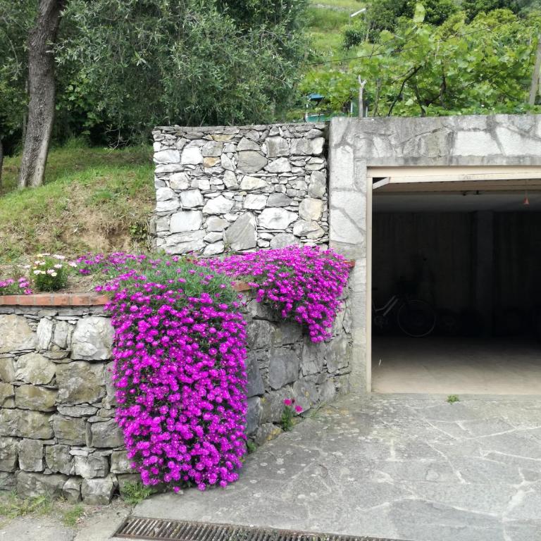 Ca' da Rina - Casa Vacanze - 32