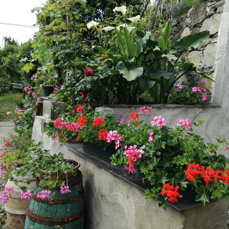 Ca' da Rina - Casa Vacanze - 31