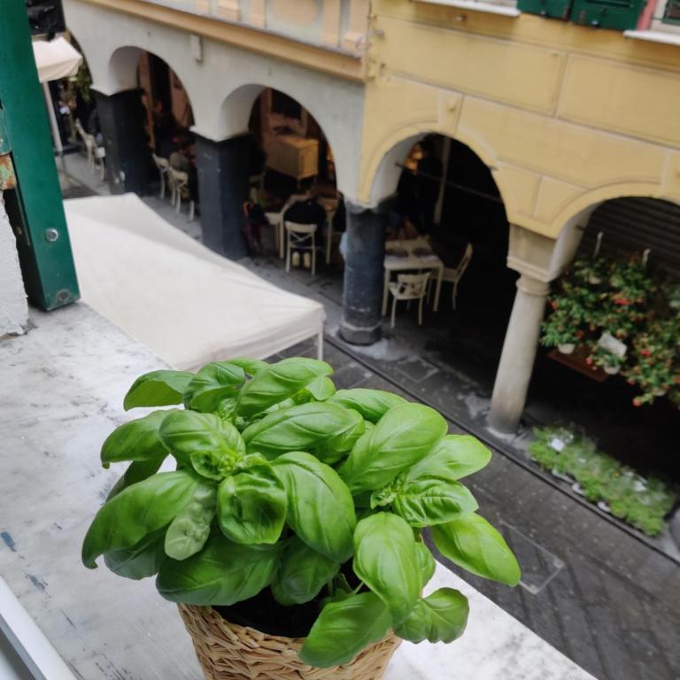 Vista sul carruggio, centro storico di Chiavari - Appartement 2 Chambres - 11
