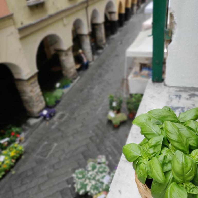 Vista sul carruggio, centro storico di Chiavari - Appartement 2 Chambres - 29