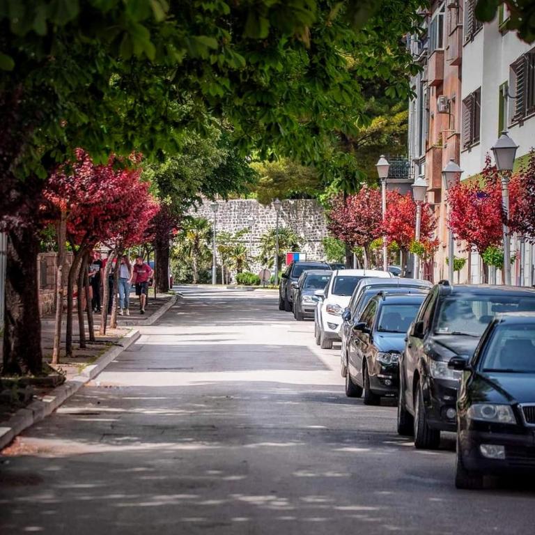 Apartman Arijana - Apartman sa 1 Spavaćom Sobom - 12
