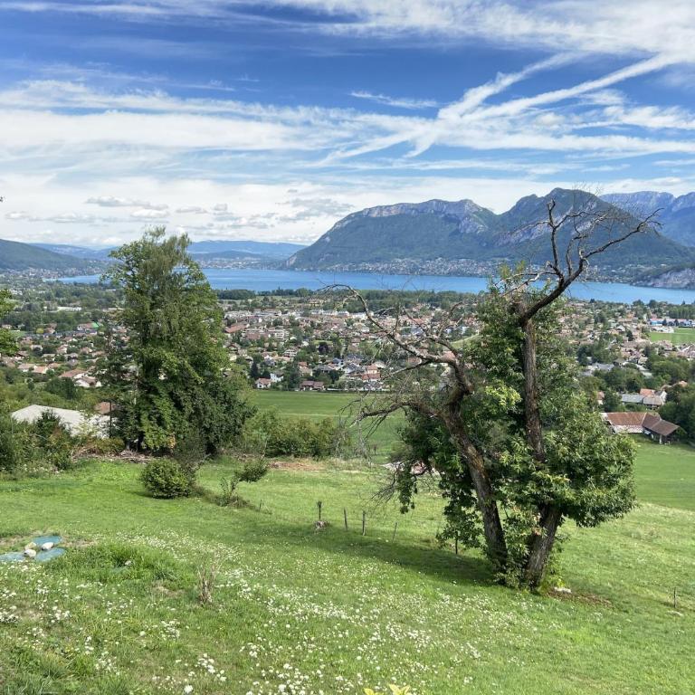 Le Grand Praz - Eight-Bedroom House - 27