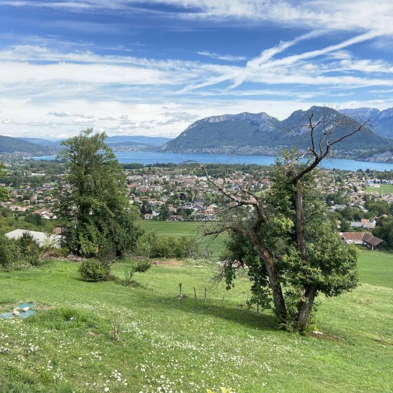 Le Grand Praz - Eight-Bedroom House - 35