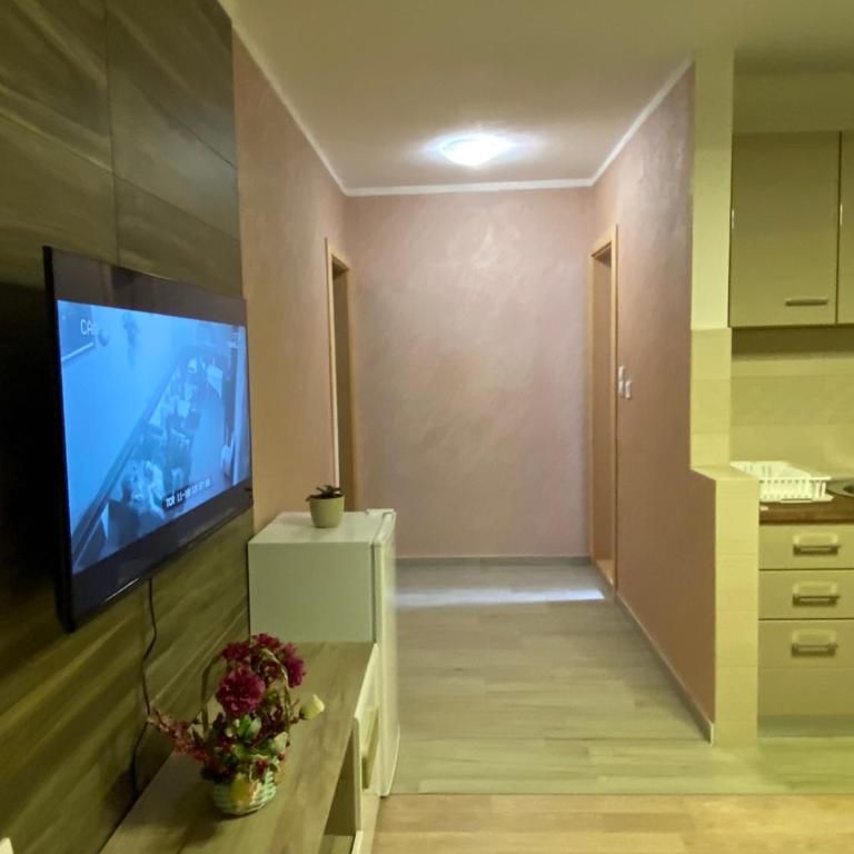 Apartmani Zecevic - Superior Apartman - 5