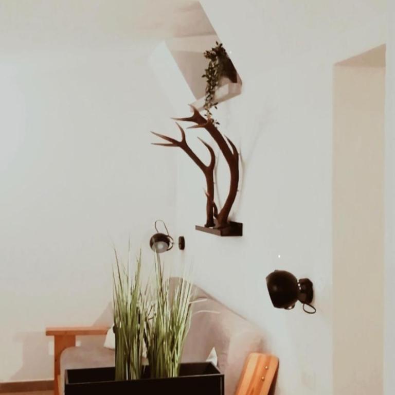Il nido di Lele e Schina - Casa con 2 Camere da Letto - 27