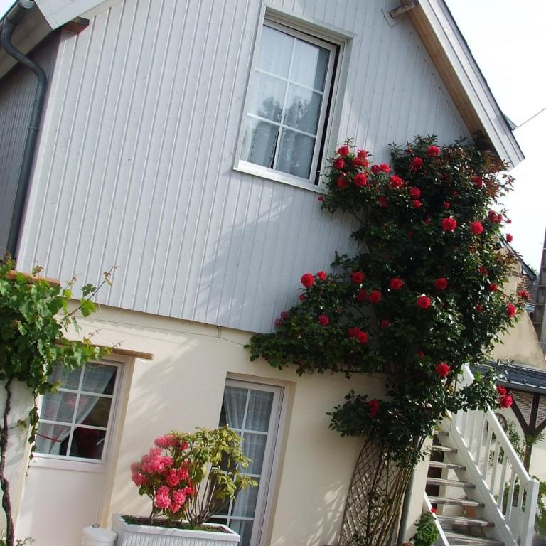 Gite les Orchidées - Appartement - 1
