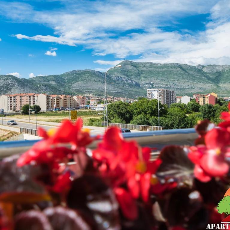 Apartmani Pantovic - Apartman 1 - Apartment - 3