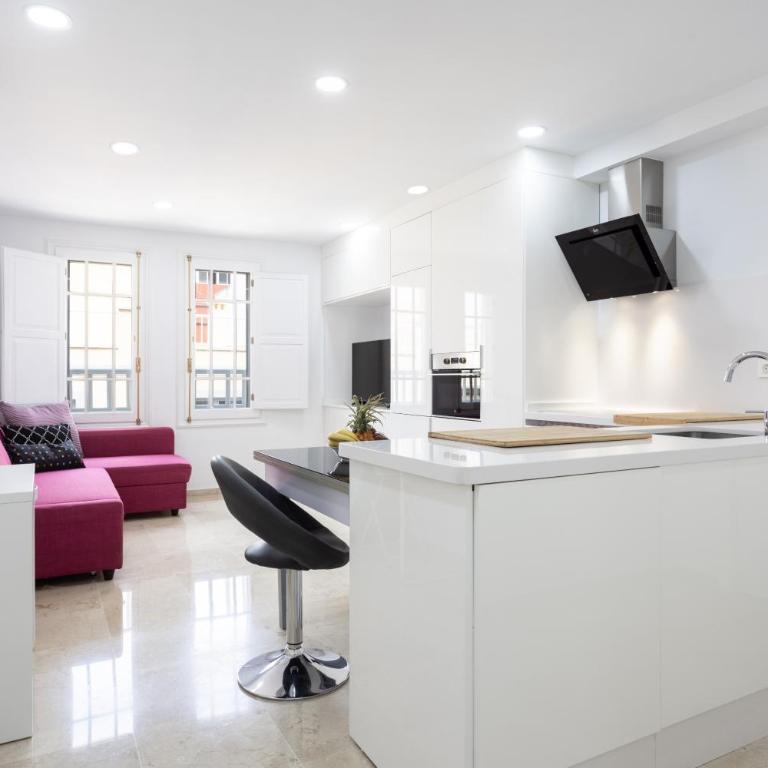 Home2Book Center Apartment Santa Cruz, Wifi - Apartamento de 1 dormitorio - 1