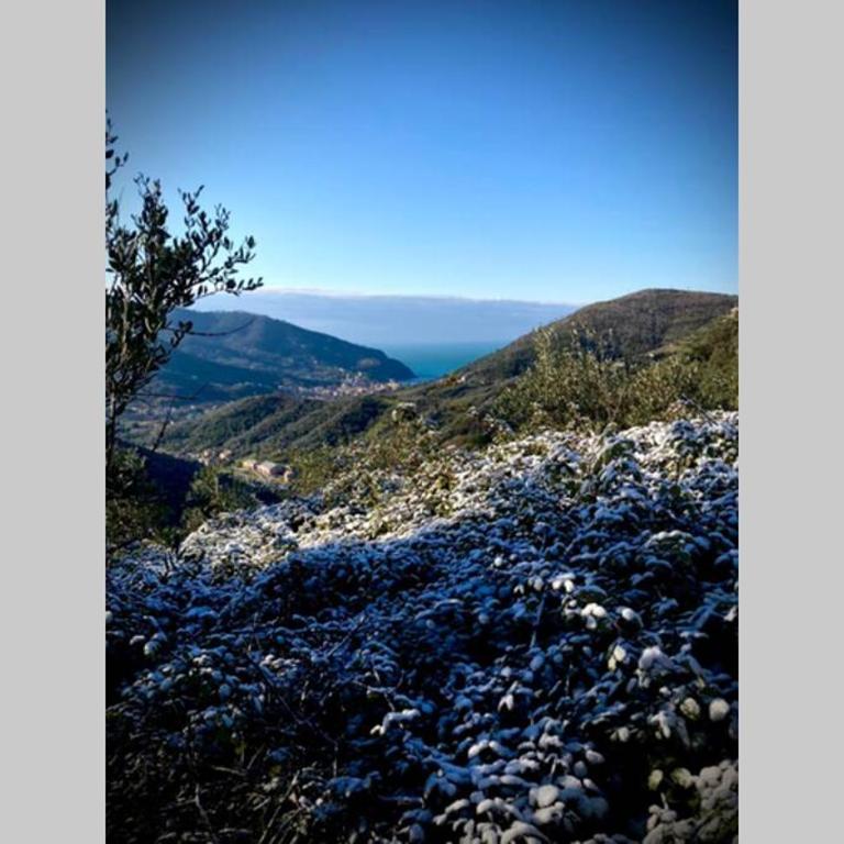 Casa Sara, Levanto, in collina ad un passo dal mare! - Casa con 1 Camera da Letto - 17