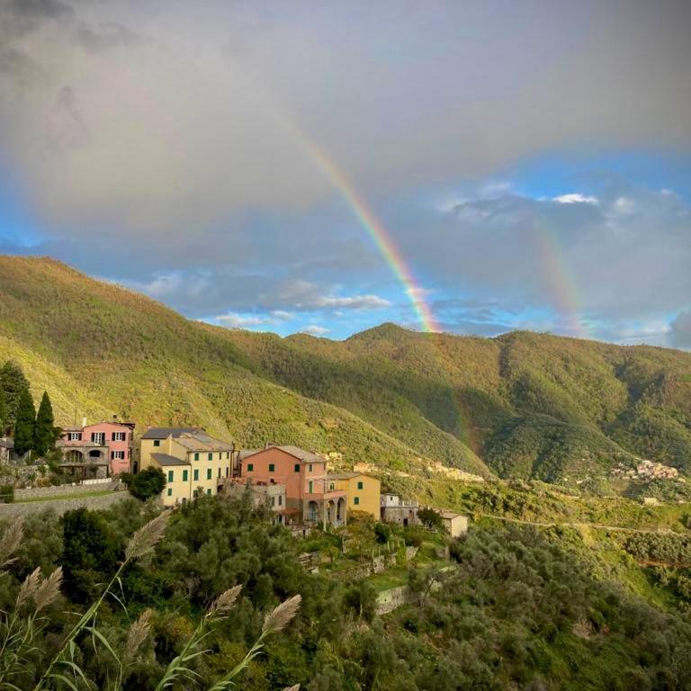Casa Sara, Levanto, in collina ad un passo dal mare! - Casa con 1 Camera da Letto - 19