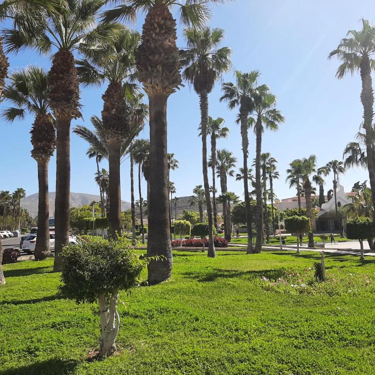 Las Americas, PH317 with pool next to the ocean - Apartamento de 1 dormitorio - 17