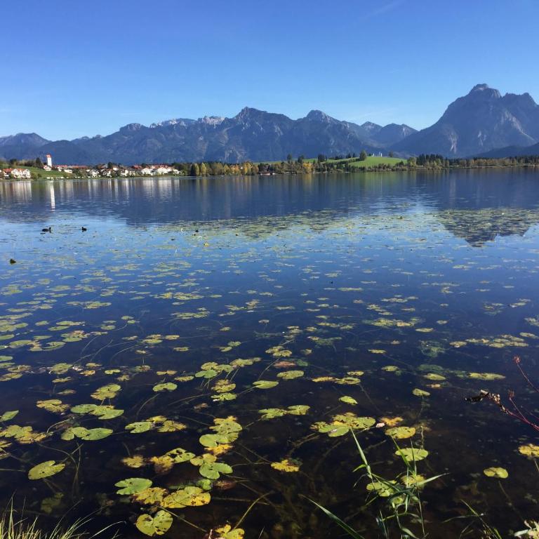 Ferienhaus Lieblingsplatz-Füssen - stilvoll urlauben & wohnen - Villa - 44