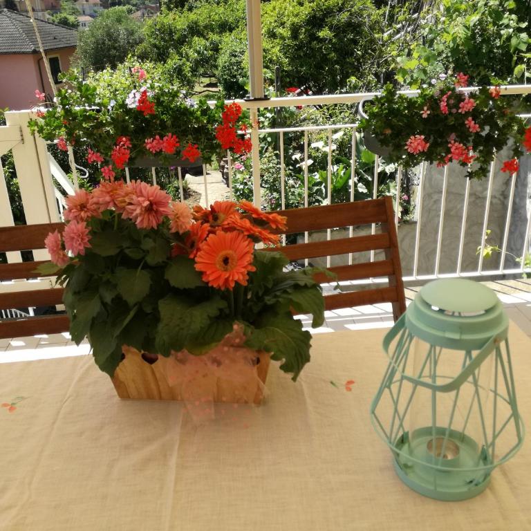 Ca' da Rina - Casa Vacanze - 27