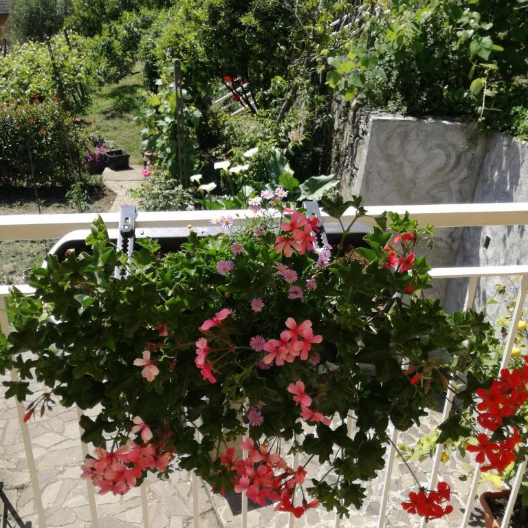 Ca' da Rina - Casa Vacanze - 4