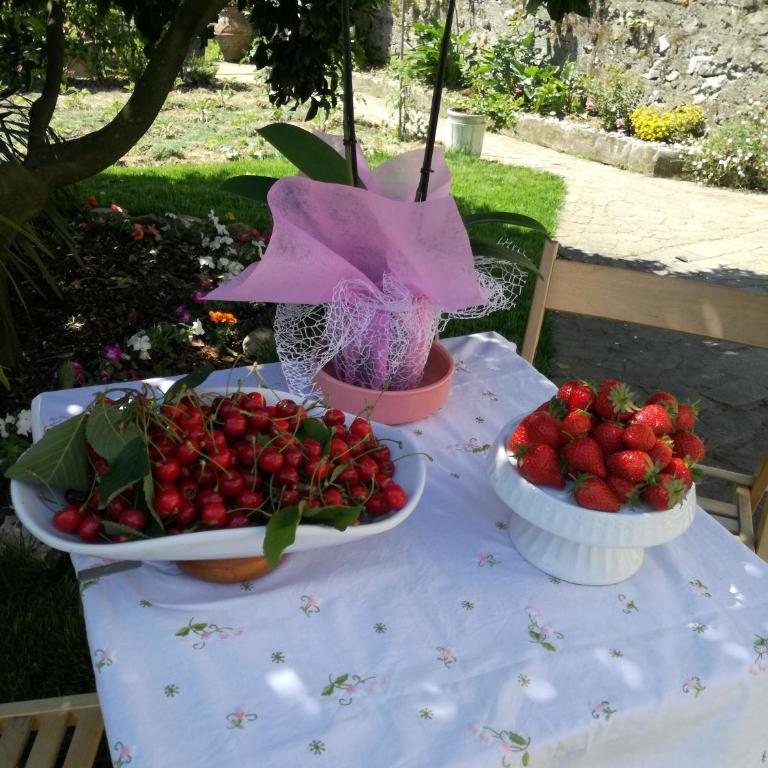 Ca' da Rina - Casa Vacanze - 5