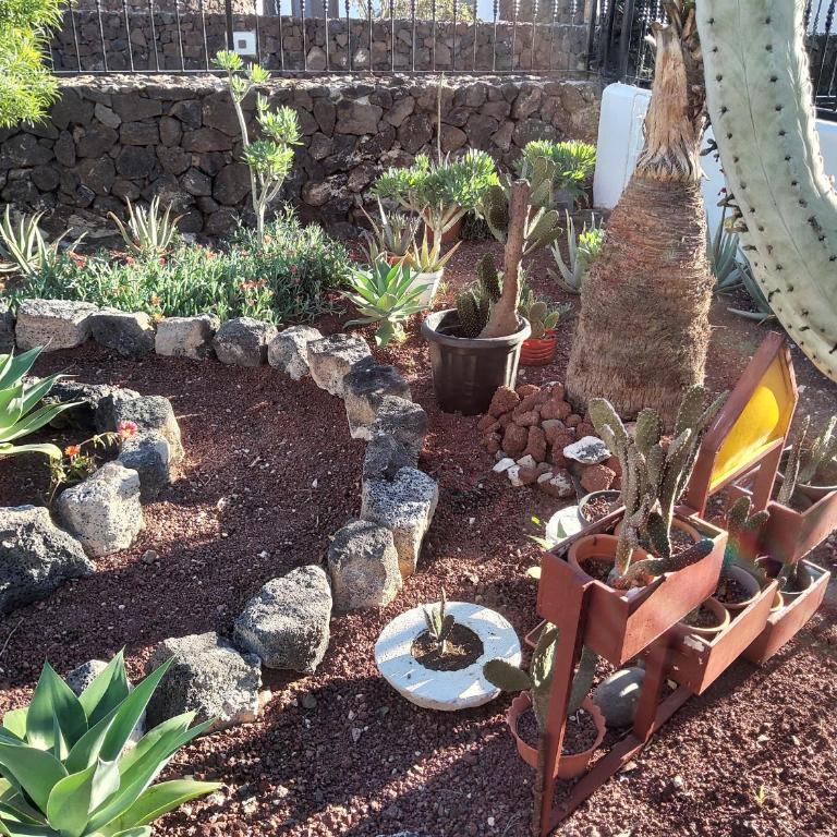 Artsy Casa Timanfaya, Playa Blanca - Apartamento de 1 dormitorio - 43