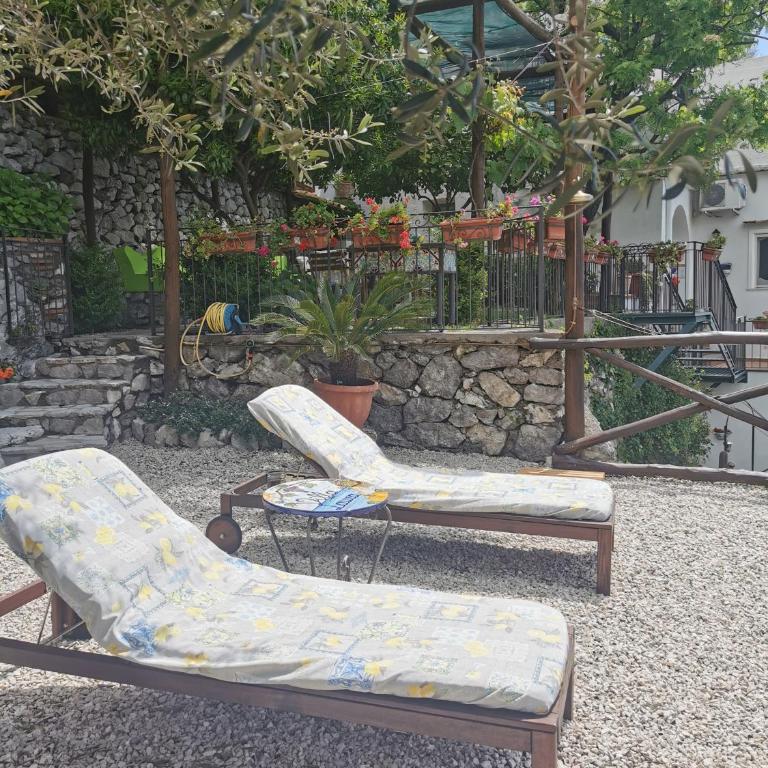 Villa Laura amazing breakfast,private outdoor hot tub, Positano experience - Casa Vacanze - 23