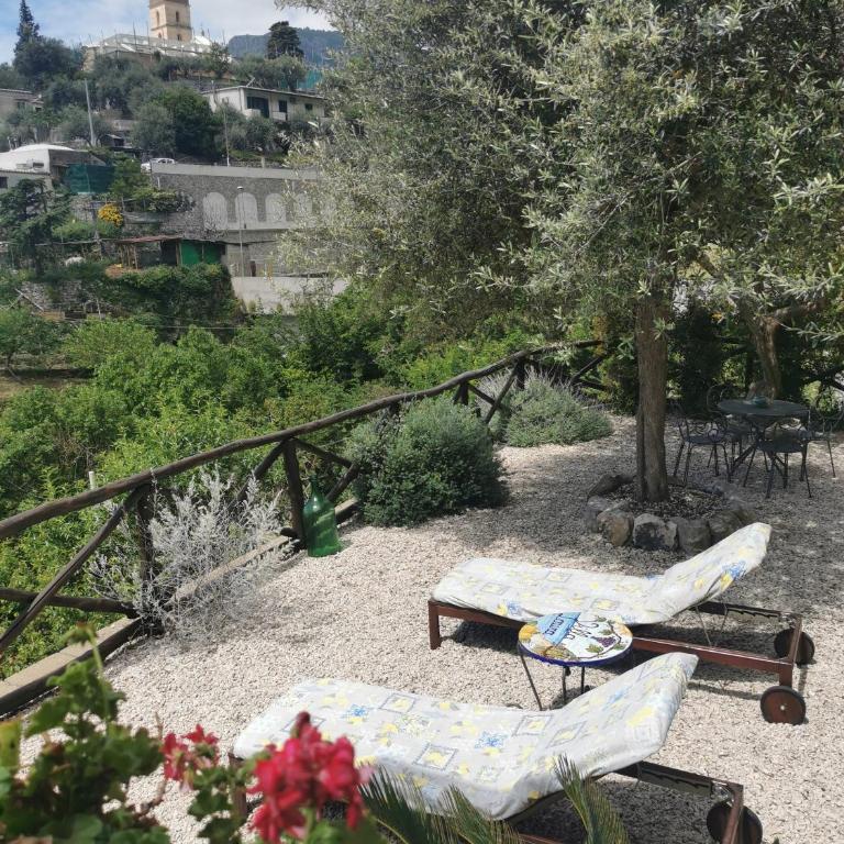Villa Laura amazing breakfast,private outdoor hot tub, Positano experience - Casa Vacanze - 16