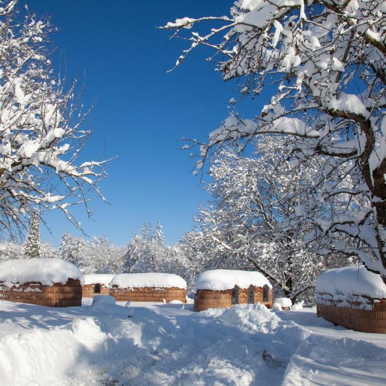IGLUCAMPING Allgäu-Bodensee - Superior Chalet - 5