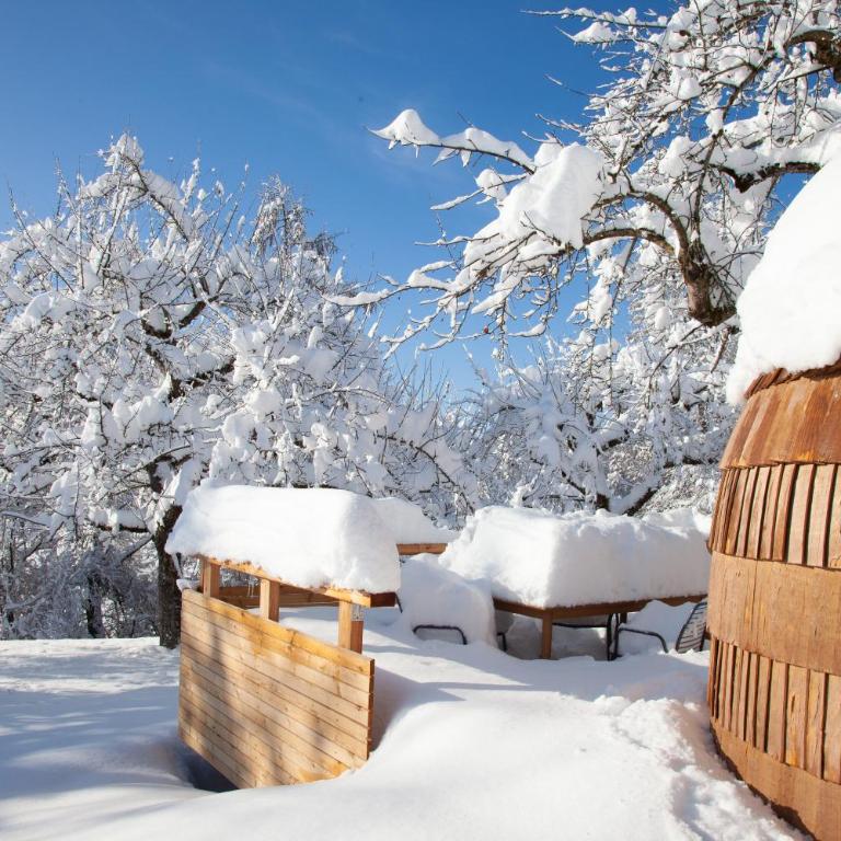 IGLUCAMPING Allgäu-Bodensee - Chalet mit 1 Schlafzimmer - 6