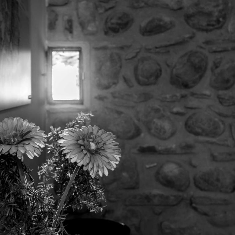 Trilocale Torre dell'Orologio - Appartamento con 2 Camere da Letto - 17