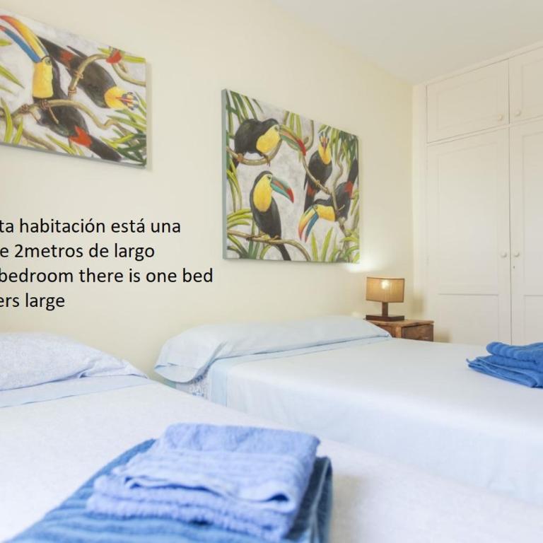Marine Breeze Apartment - Apartamento con vistas al mar - 12