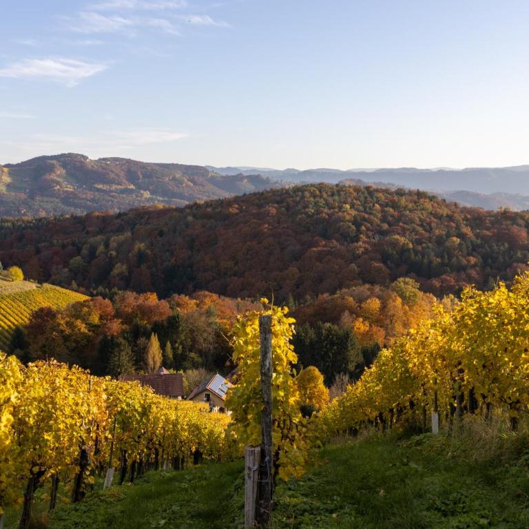 Weinberghaus am Burgstallkogel - Haus mit 3 Schlafzimmern - 18