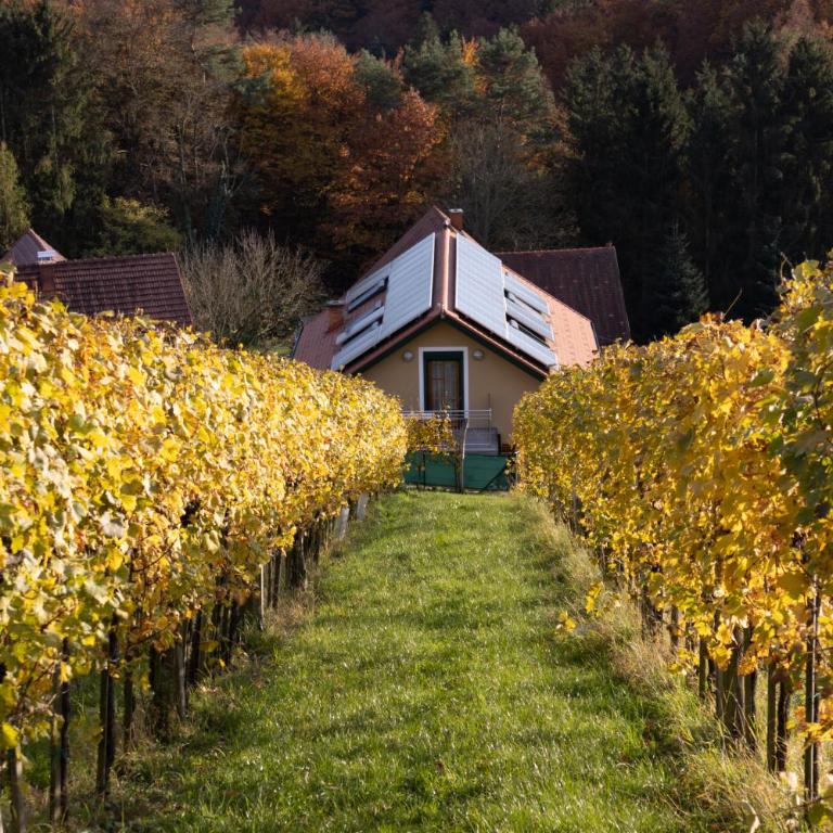 Weinberghaus am Burgstallkogel - Haus mit 3 Schlafzimmern - 13