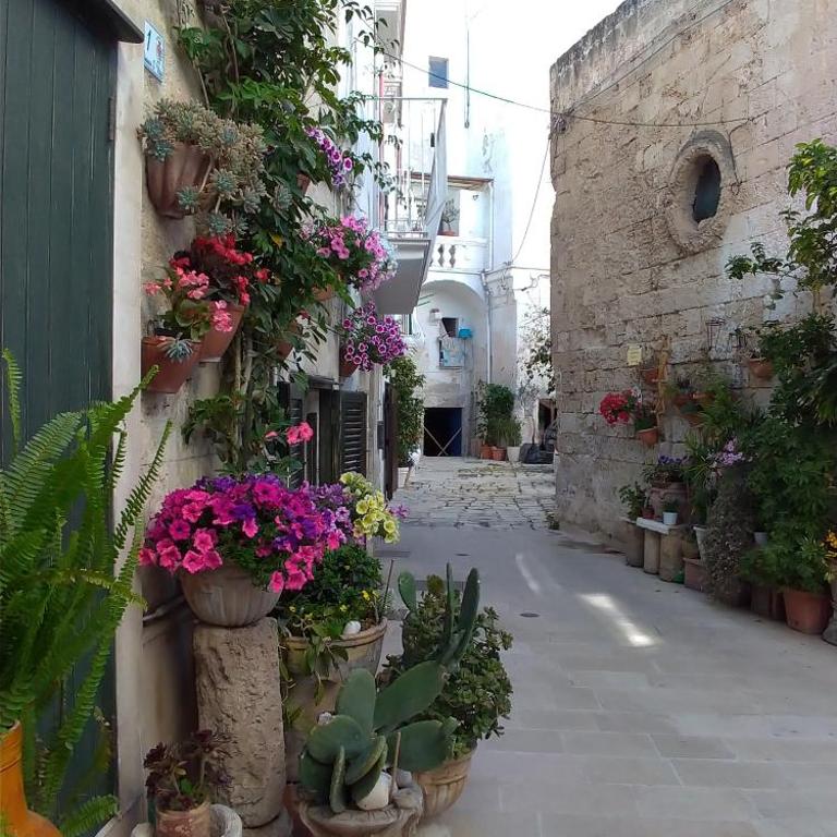 My Monopoli- Casa dei Fiori "Orchidea" Centro Storico - Appartamento con Vista Mare - 13