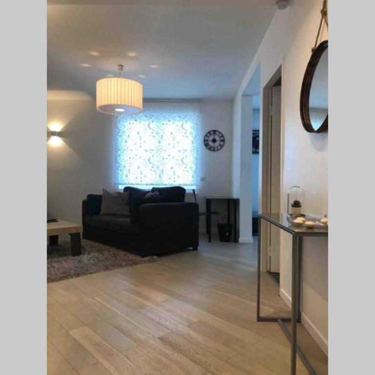 Appartement 2P Strasbourg centre - Homme de fer - One-Bedroom Apartment - 10