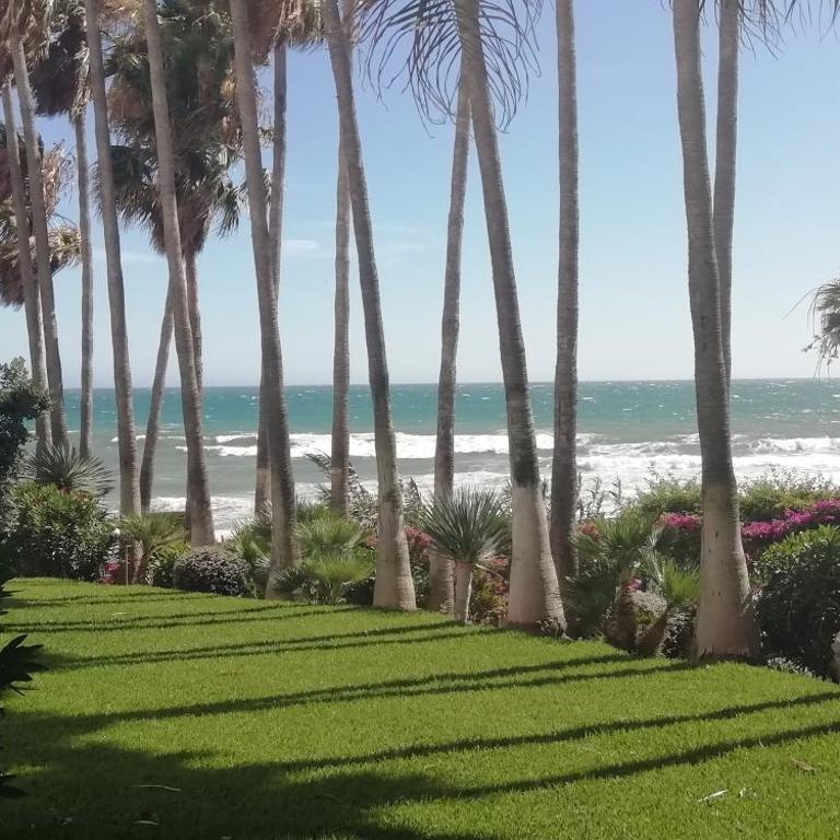 Espectacular apartamento, urbanización primera linea de playa - Apartamento de 1 dormitorio - 1