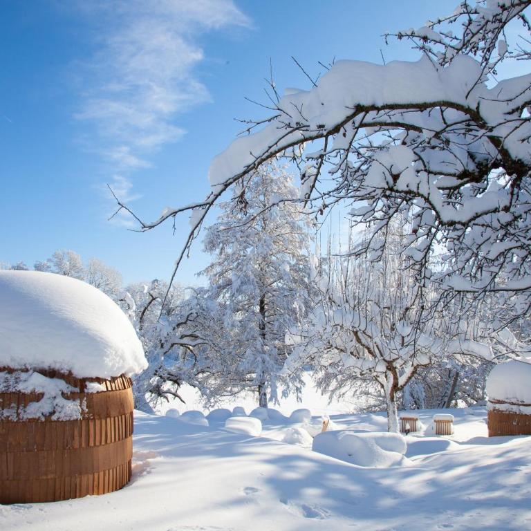 IGLUCAMPING Allgäu-Bodensee - Chalet mit 1 Schlafzimmer - 15