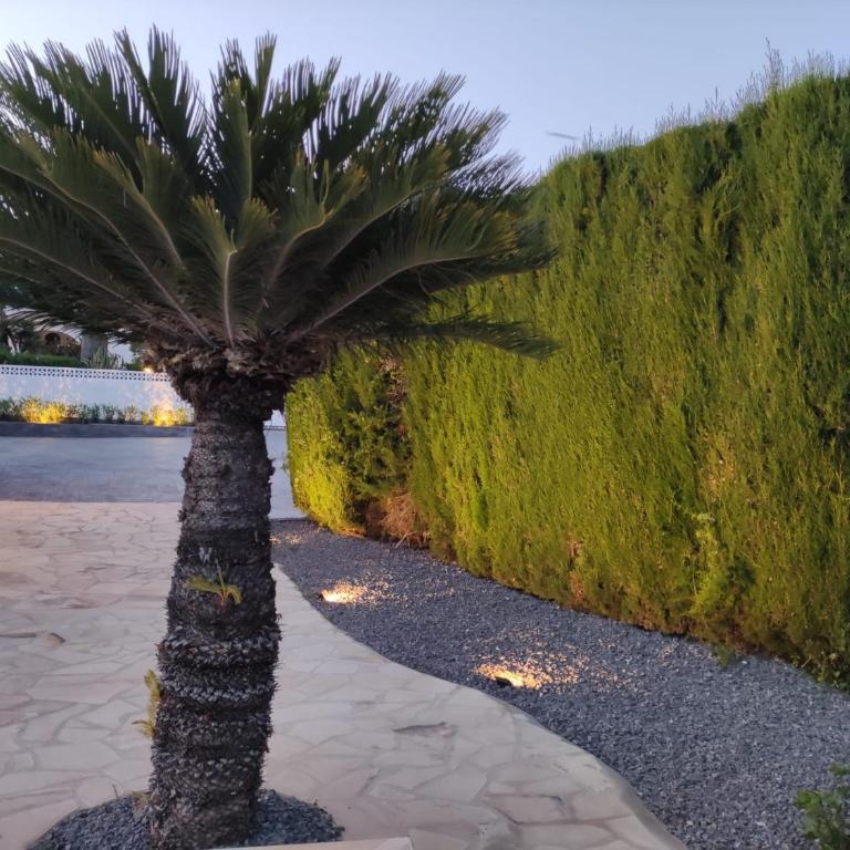 Villa Ana Moraira - Casa de 2 dormitorios - 6
