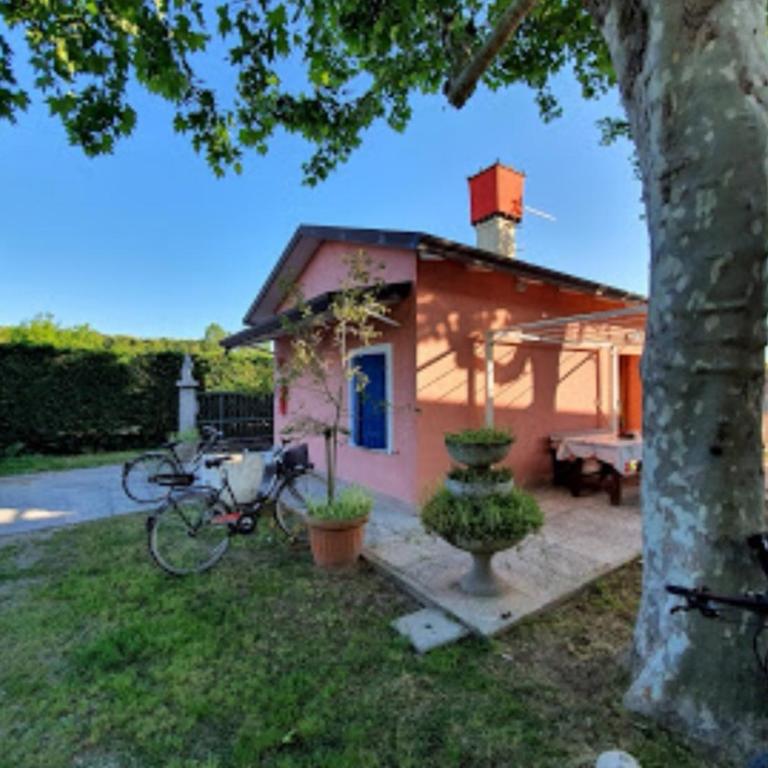 Eureka Azienda Agrituristica - Bungalow Familiare - 10