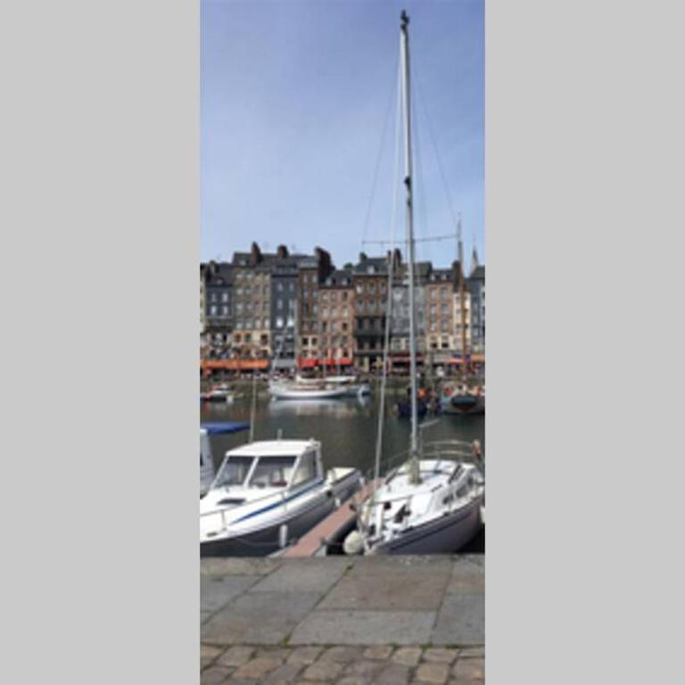 Cabourg-la mer à perte de vue - Apartment mit 1 Schlafzimmer - 24