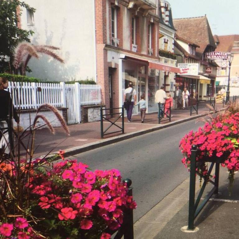 Cabourg-la mer à perte de vue - Apartment mit 1 Schlafzimmer - 26