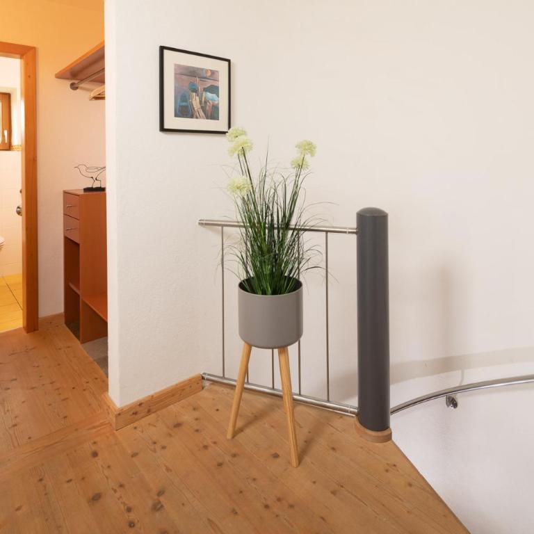 "Haus Bellevue" - Annehmlichkeiten von 4-Sterne Familien-und Wellnesshotel Viktoria nebenan können mitgenutzt werden - Apartment - Erdgeschoss - 8