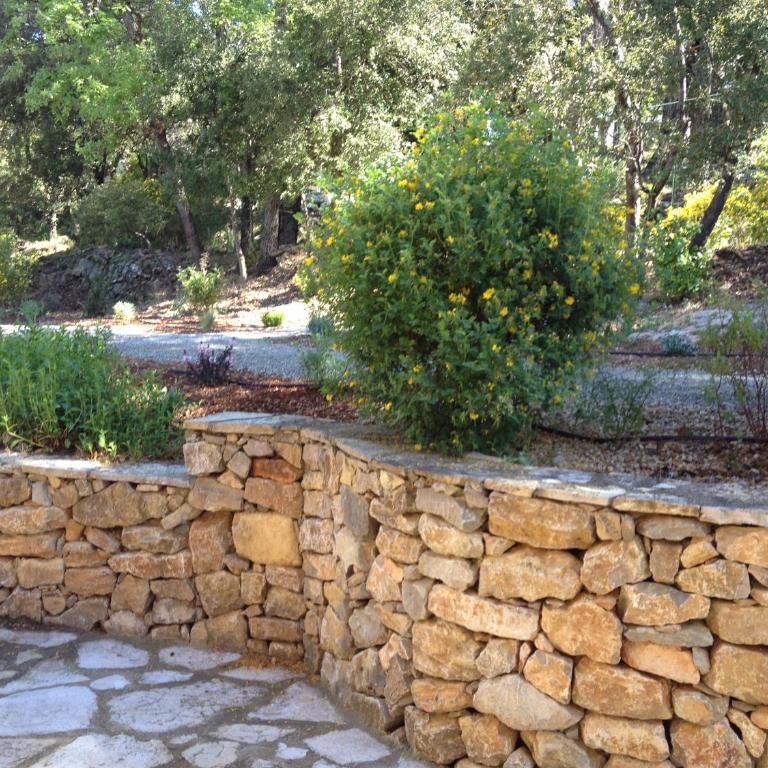 Villa Nassalia - Appartement (6 Adultes) - 6
