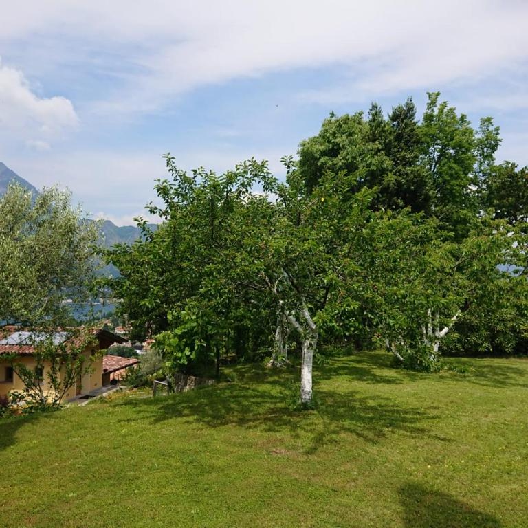 Villa Primula - Appartamento con Vasca Idromassaggio e Vista Lago - 56