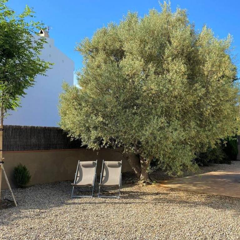 LLEBEIG -Casa mediterránea con gran jardín - Casa Unifamiliar de 3 dormitorios - 31