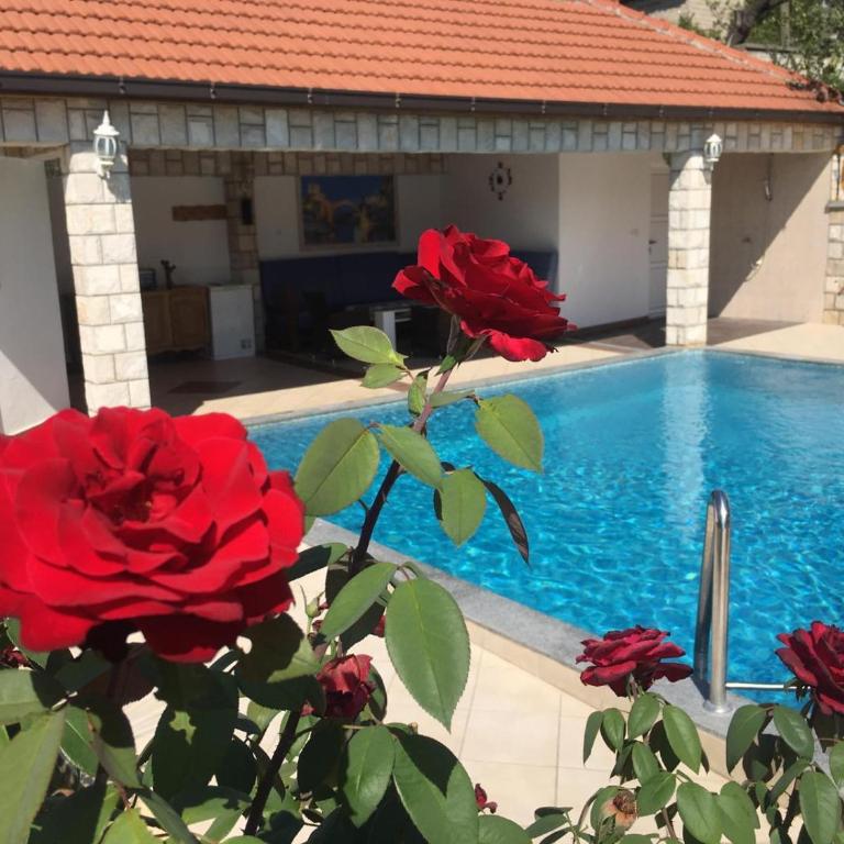 Apartment Oaza - Apartment with Pool View - 6