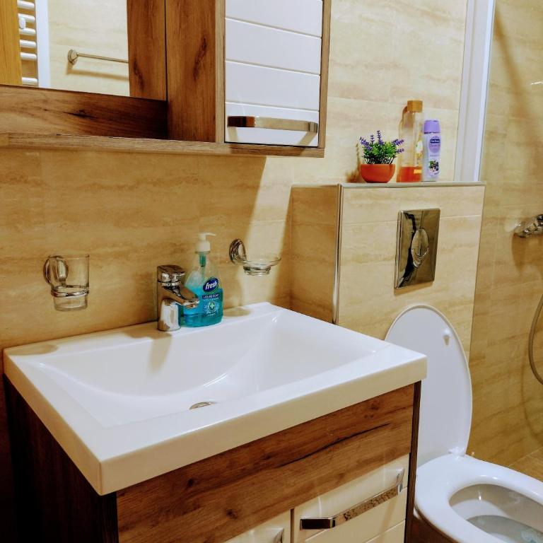 Apartman Dana - Apartman sa 1 Spavaćom Sobom - 32