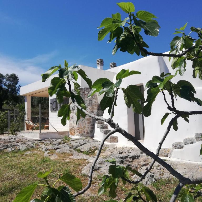 Trullo delle More - Two-Bedroom House - 50