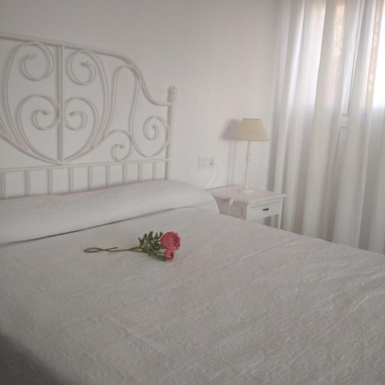 Apartamentos Sanlúcar Beach 2 y 3 - Appartement 1 Chambre - 4