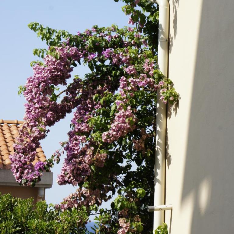 Cozy 1 bedroom flat near Petrovac beach - Apartment mit 1 Schlafzimmer - 14