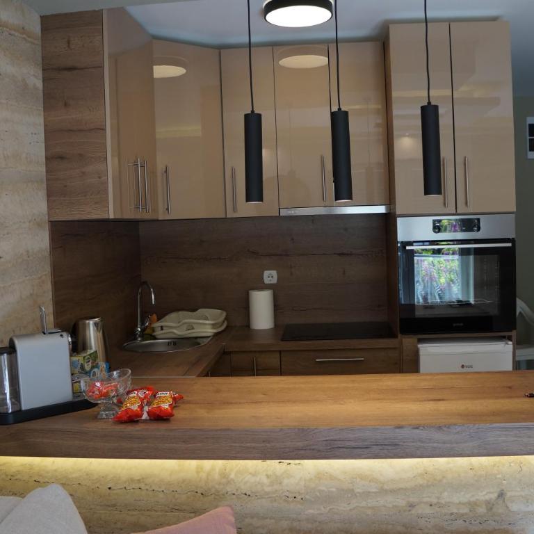 Lux Apartman Bogosavljevic - One-Bedroom Apartment - 13