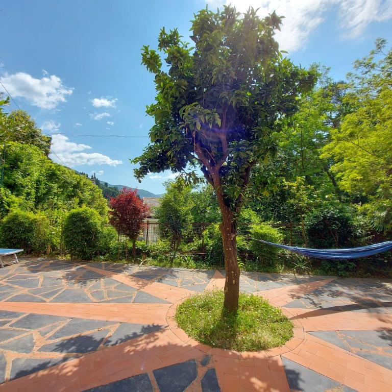 BLU GARDEN FLAT private parking - Appartamento con Vista Giardino - 17