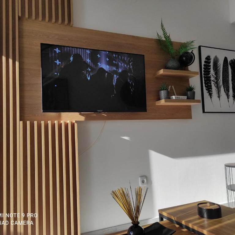 Blue berry apart - Apartman sa 1 Spavaćom Sobom - 17